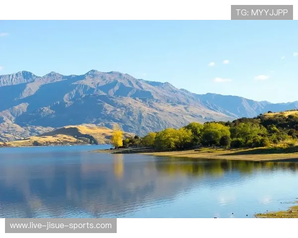 瑞士足球明星崛起之路：从阿尔卑斯山到世界赛场的光辉征程